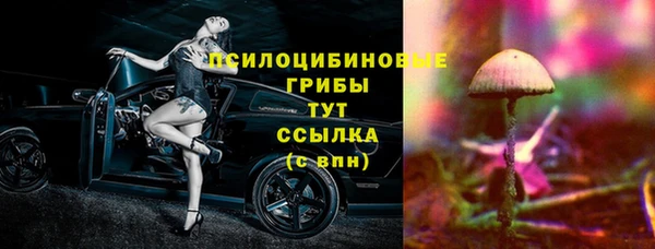 стафф Нея