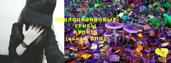 круглые Снежногорск