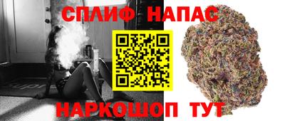 хмурый Гатчина