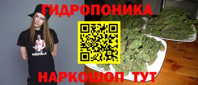ECSTASY Гай