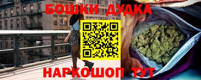 хмурый Гатчина