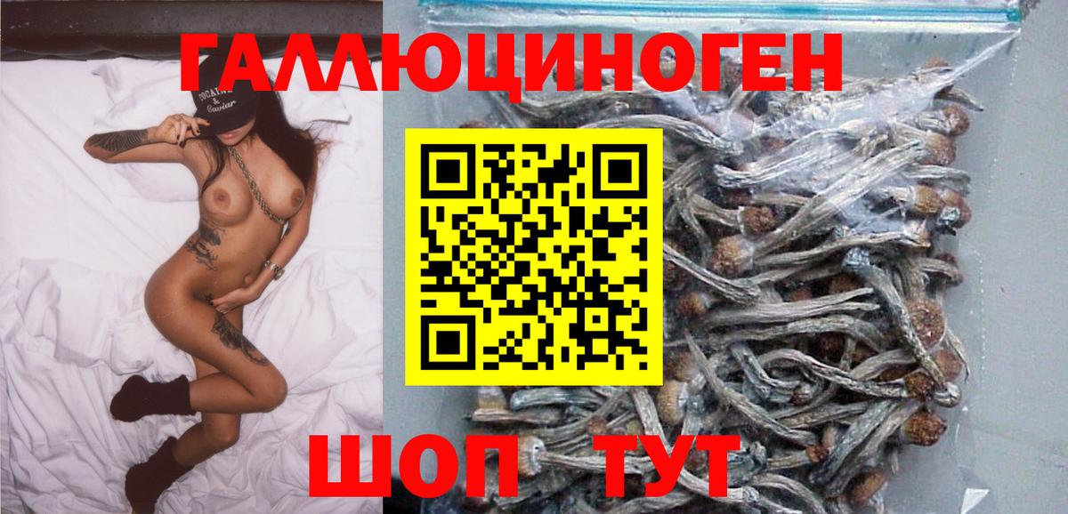 Галлюциногенные грибы мицелий  Вход с VPN  Волоколамск 