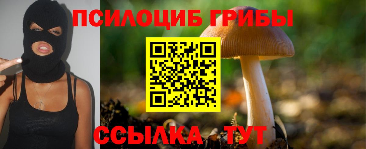 Галлюциногенные грибы ЛСД Волоколамск